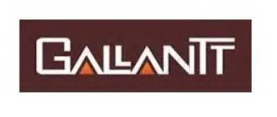 Gallantt Metal Limited