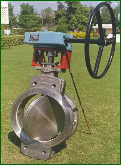 High Performance Butterfly Valves