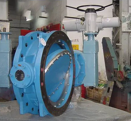 Triple Eccentric Butterfly Valve